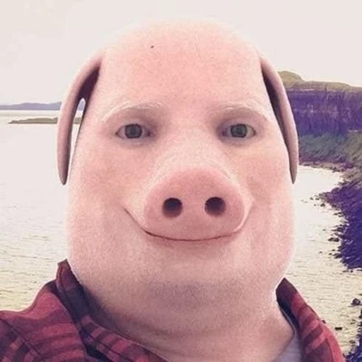 Agent Pork